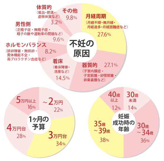 不妊の原因・妊娠成功時の年齢・1ヶ月の予算